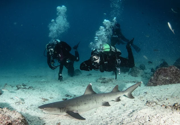 Sustainability in Indonesian Liveaboard Diving